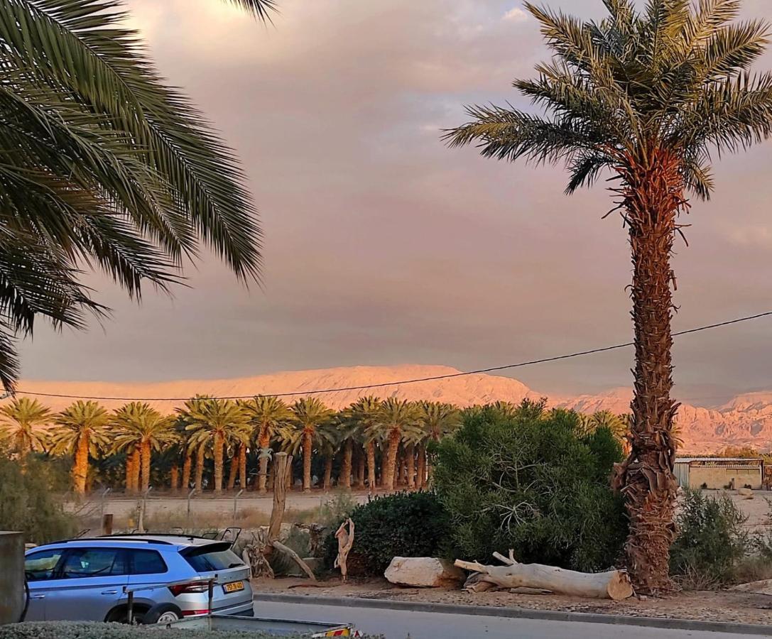 Belfer'S Dead Sea Cabins Neot HaKikar Exterior foto